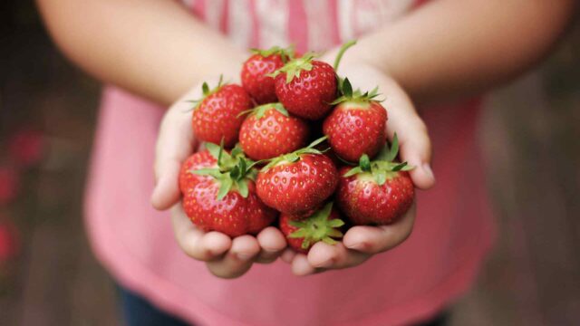 How to grow fruits