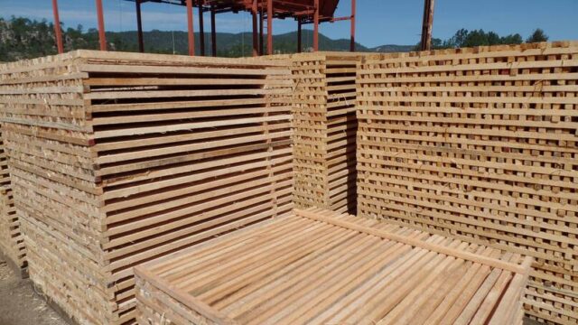 Timber enterprises seek improvements amid continued downturn in international markets